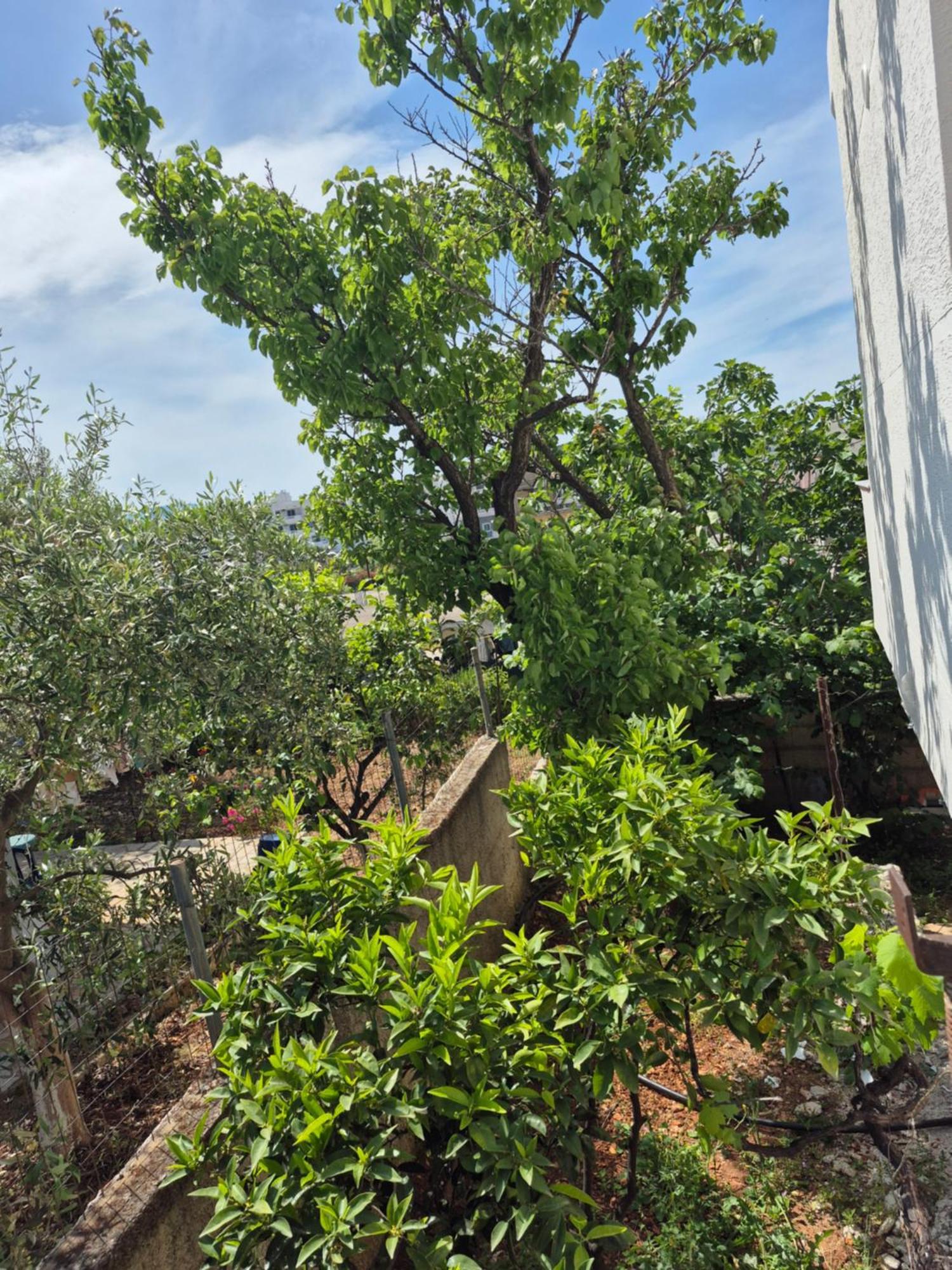 Vita Apartment - Spacious Garden And Balcony 5 Min To Beach & Center Ksamil Exterior photo